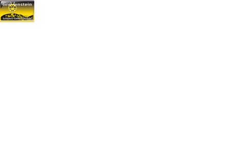 sgfg09.de