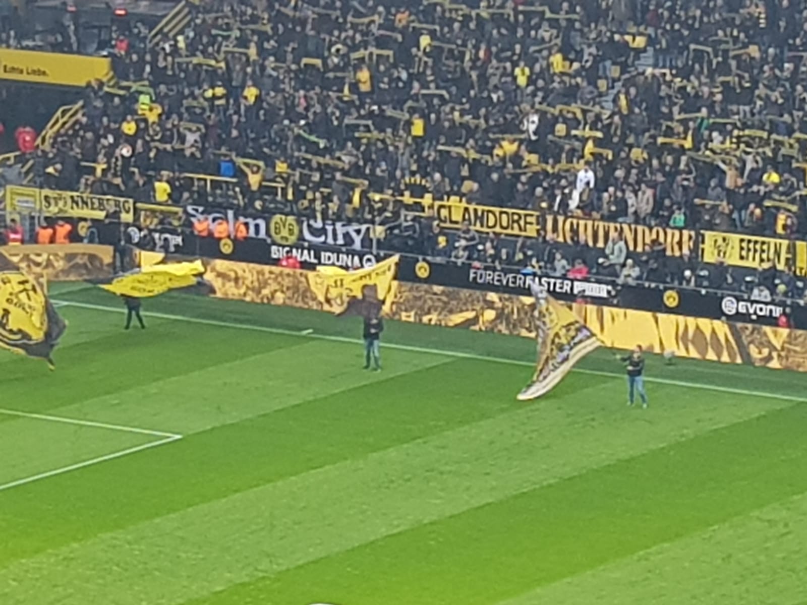 Schwarz-Gelbe Freunde Grevenstein 09 beim Heimspiel gegen den 1.FSV Mainz 05